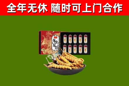 尖扎回收冬虫夏草价格